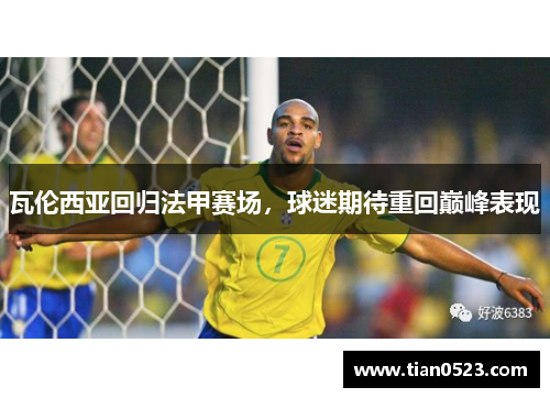 瓦伦西亚回归法甲赛场，球迷期待重回巅峰表现