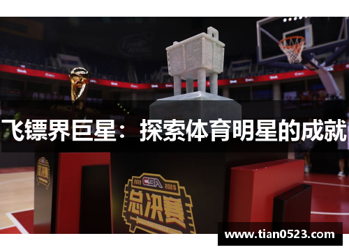 飞镖界巨星：探索体育明星的成就